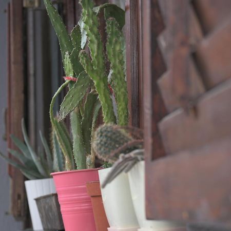 Canyon Matka Nature Apartments With A Terrace スコピエ エクステリア 写真
