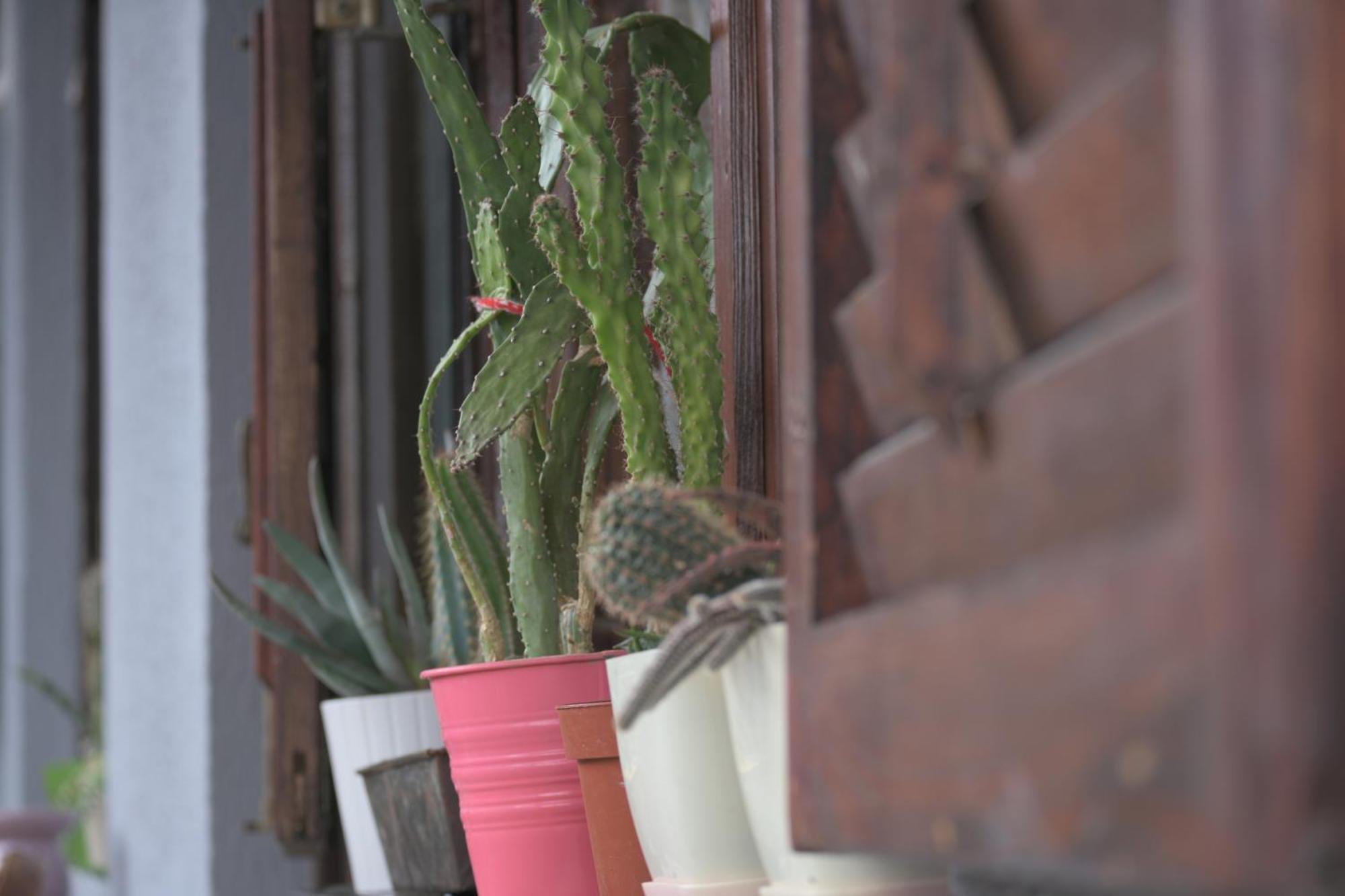 Canyon Matka Nature Apartments With A Terrace スコピエ エクステリア 写真